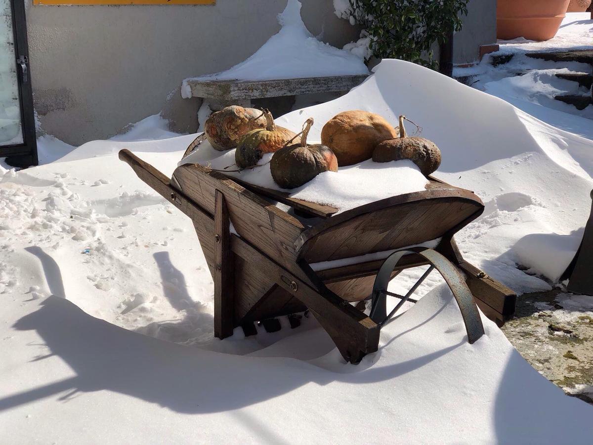 Agriturismo Antica Sosta Viterbo Dış mekan fotoğraf